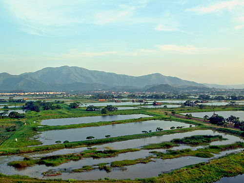 Lok Ma Chau